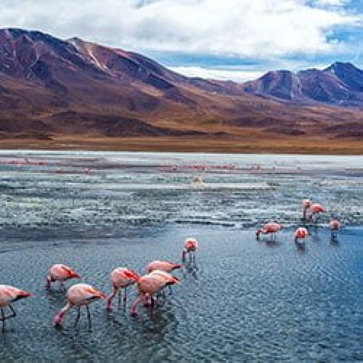 Day Tour Uyuni Salt Flats Bolivia Ruta Verde Tours