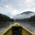 Tuichi river, Madidi Chalalan ecolodge