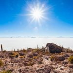 Fish island Uyuni salt flats